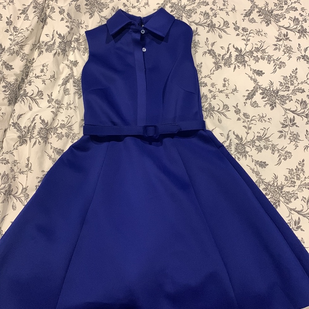 Mark & James for Badgley Mischka Collared Sleeveless Dress